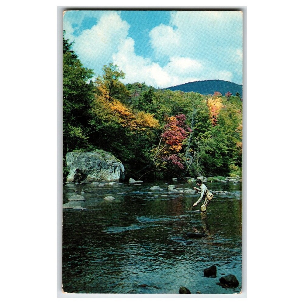 Bloomsburg PA Fly Fishing Postcard Autumn River Scene Dexter Press Kodachrome